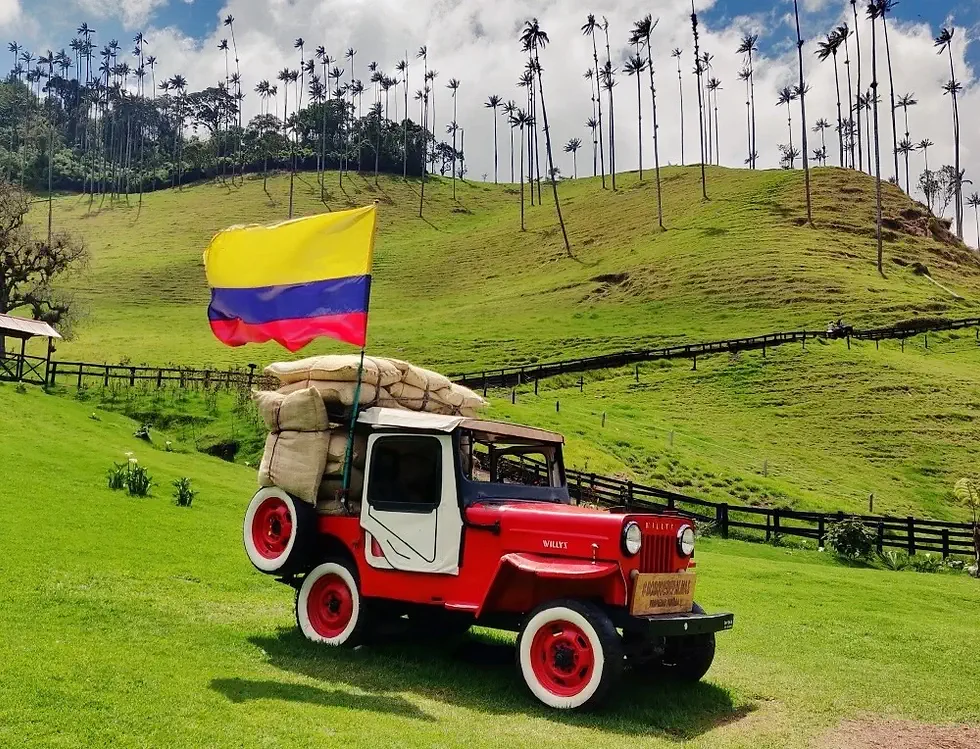 Cocora valley