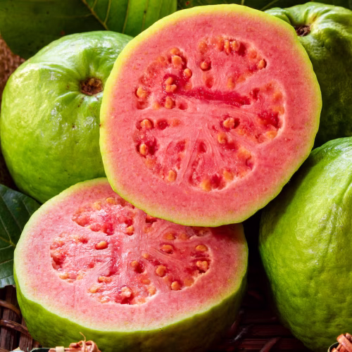 Guayaba