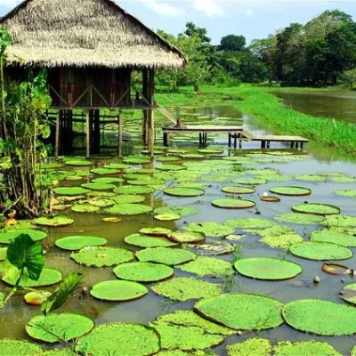 Mundo amazonico park