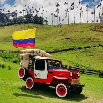 Cocora valley